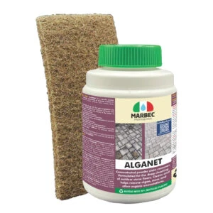 alganet