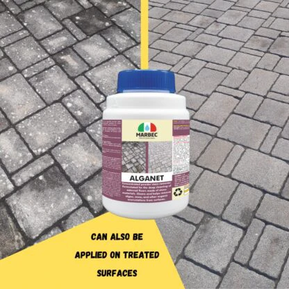 ALGANET