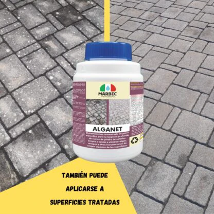 ALGANET