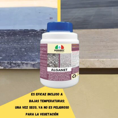 ALGANET