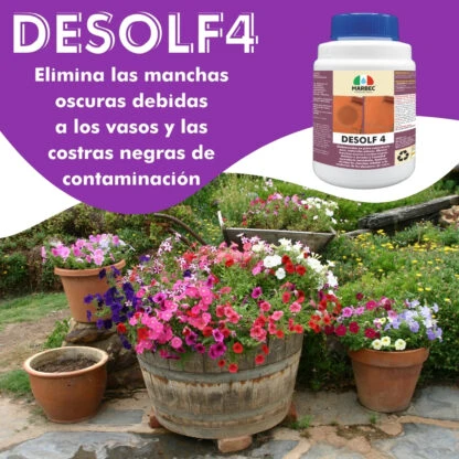 DESOLF4