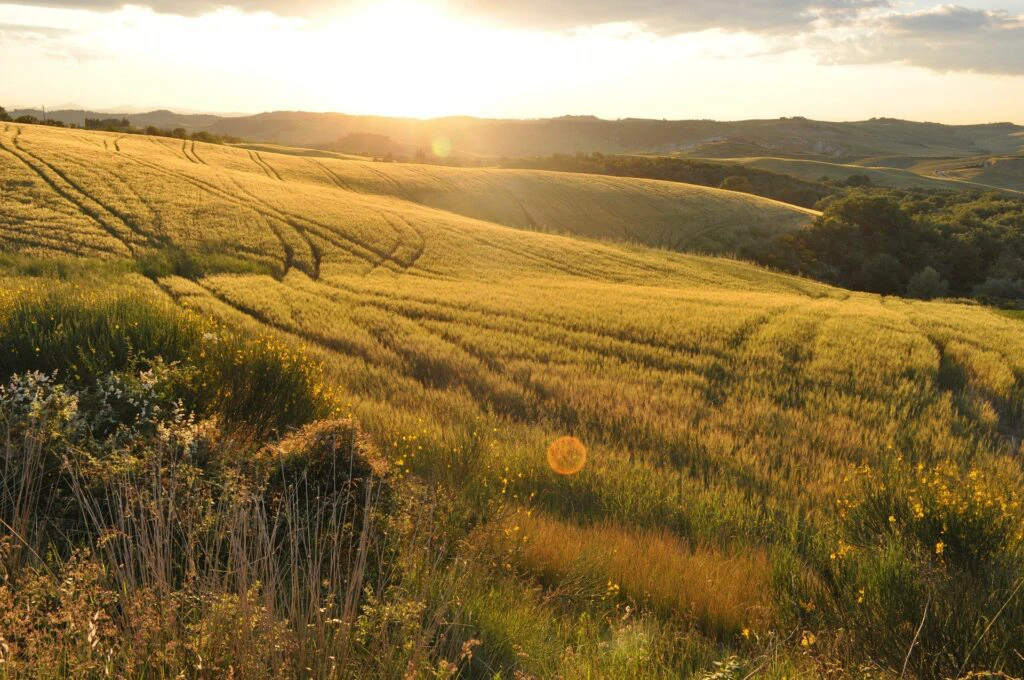 Marbec | Paisaje de la maremma