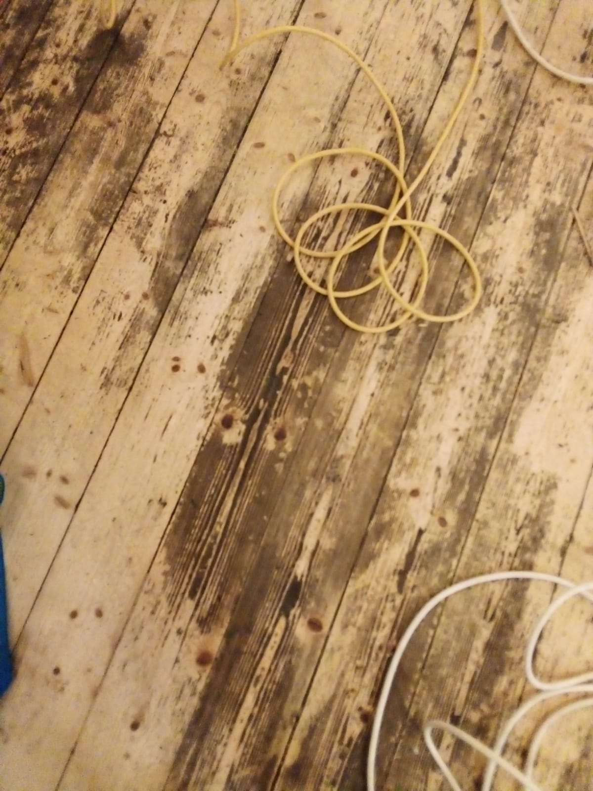 pavimenti in legno wooden floors wooden floors